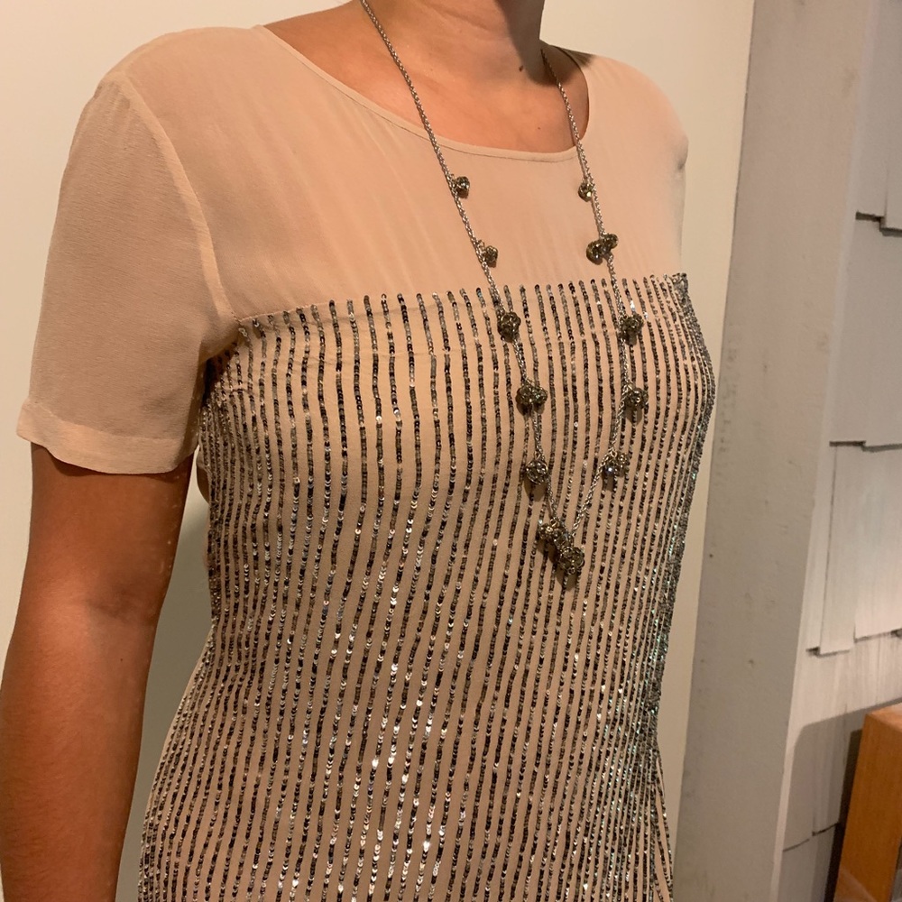 Club Monaco 100% Silk & Sequin sheath dress.
